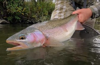 Nieuw boek “Simple Fly Fish” uitgebracht