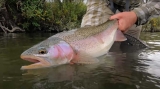 Nieuw boek “Simple Fly Fish” uitgebracht